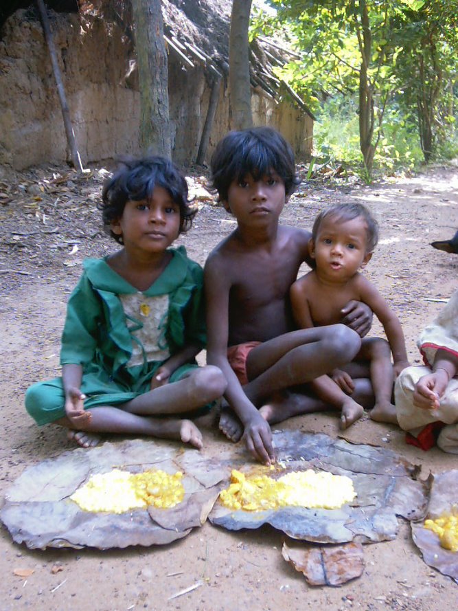 Bhaktivedanta Ashram Food Relief